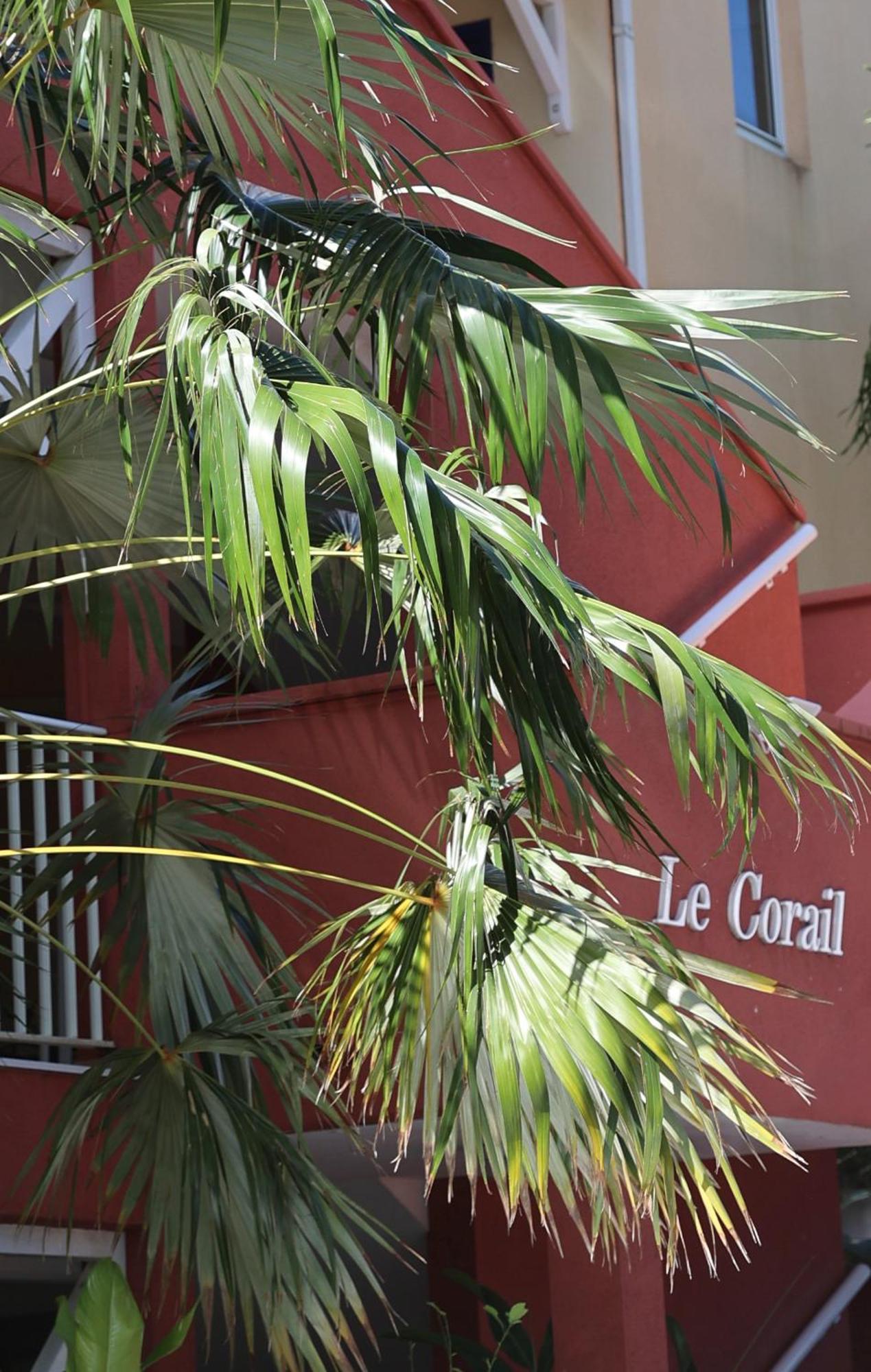 Le Coco Apartamento Le Gosier  Exterior foto
